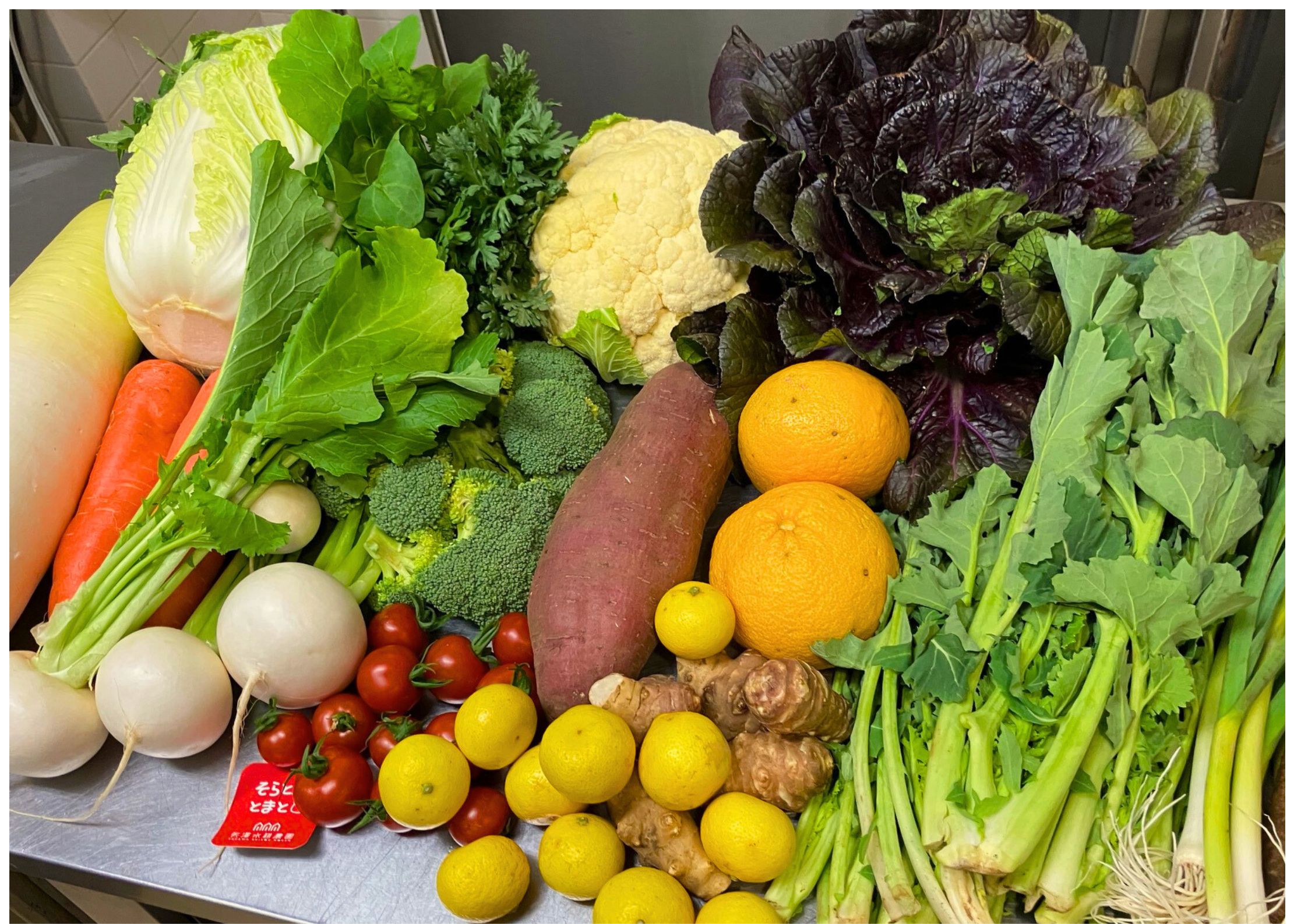 Cocoron食堂開催しました